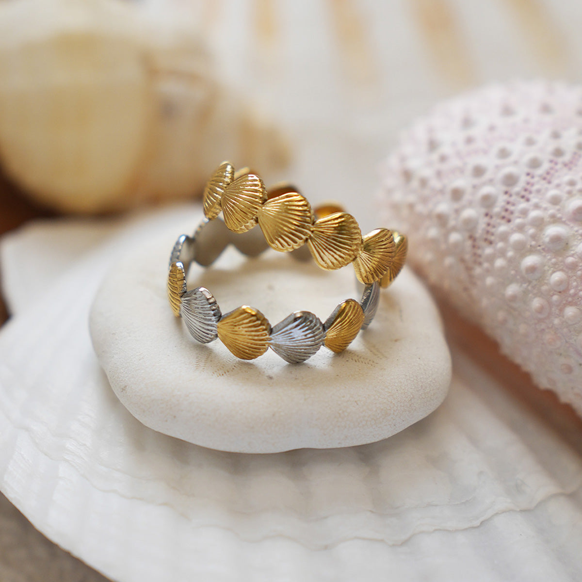 ANELLO CONCHIGLIA