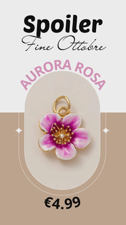 AURORA ROSA